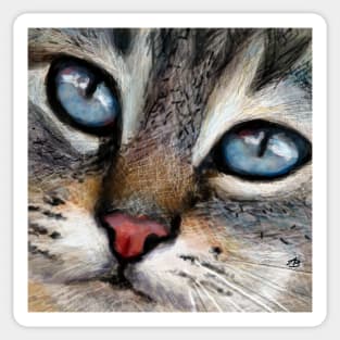 CAT - Blue Eyes Sticker